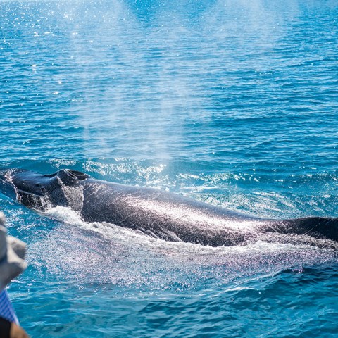 a girl in a pool of water