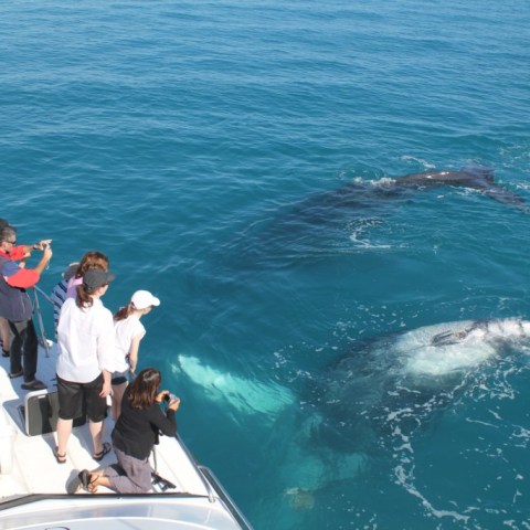 a group of people on a boat in the water