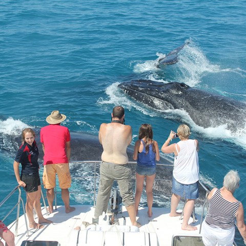 a group of people standing next to a body of water