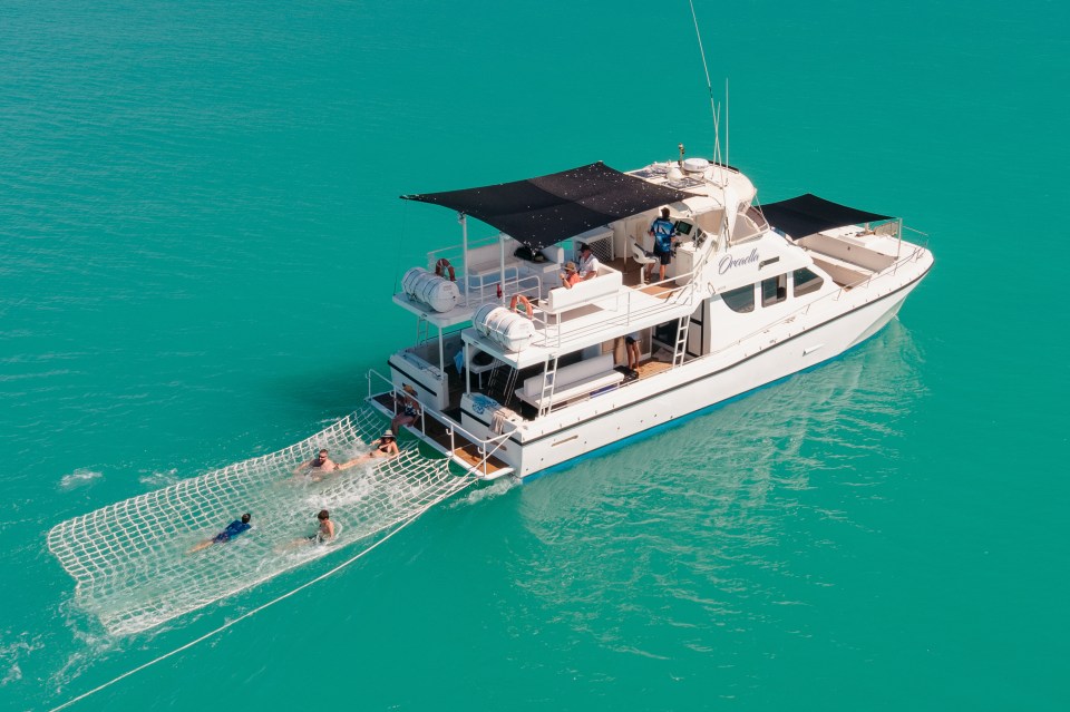 Copy of TA_NECI_WA_BroomeWhaleWatching_250522_DJI_0005-2