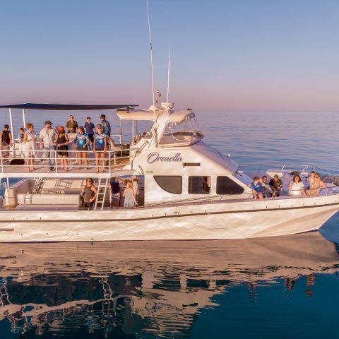 a small boat in a large body of water