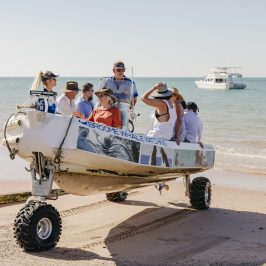 a group of people sitting at a beach